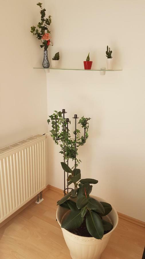 Evi'S Apartment Ρέγκενσμπουργκ Εξωτερικό φωτογραφία